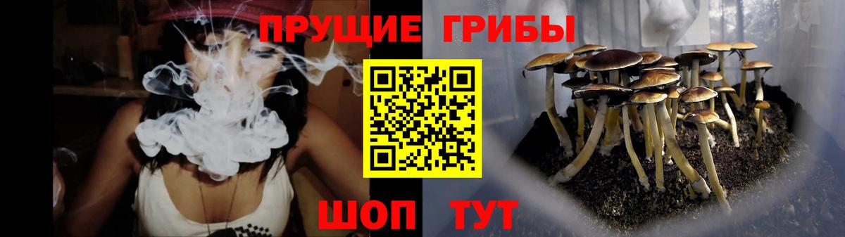 Углич  Галлюциногенные грибы Psilocybine cubensis  что такое наркотик  Вход с VPN 