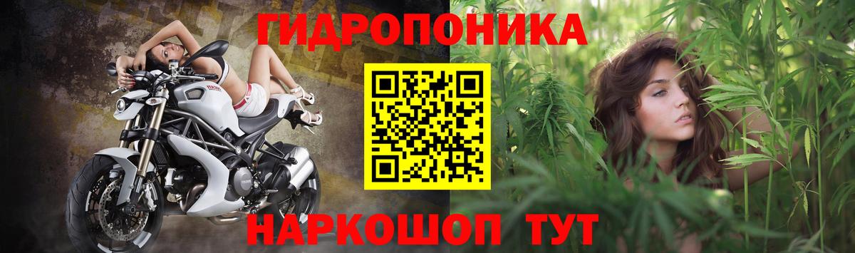 Каннабис Amnesia  Вход с VPN  Шишки марихуана тримм  Канабис планчик  Конопля VHQ  Углич 